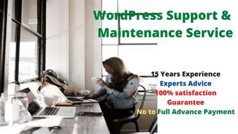 Wordpress Support And Maintenance Service At Rs 999month In Ghaziabad