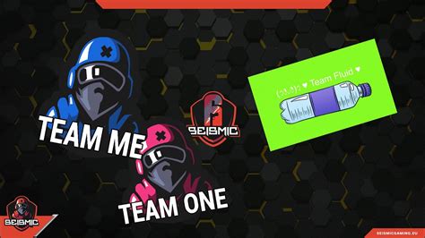 Seismic Gaming Brutal Swarm Seasonal Tournament - YouTube