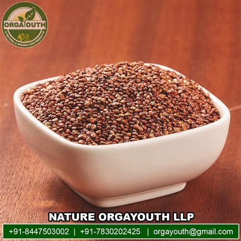 Indian Organic Certified Quinoa Seed Red Quinoa Processed