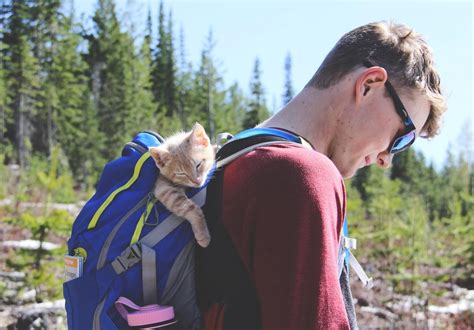 Using a cat carrier backpack can allow you to take your pet safely with you wherever you go. Fish and Chips' adventures will make you say 'aww ...