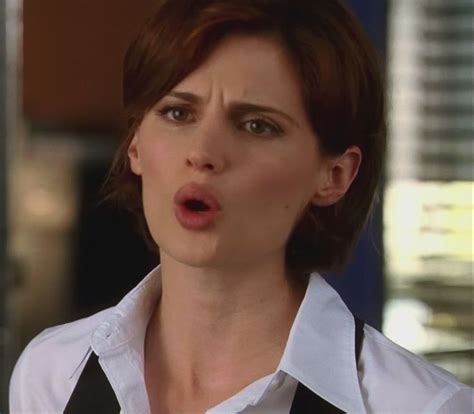 Pin By Ron Smith On Kate Beckett Kate Beckett Stana Katic Face