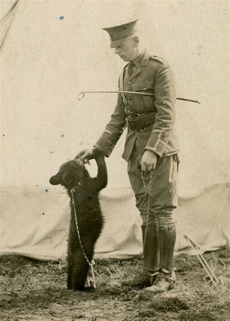 The True Tale Of Winnie The Pooh An Unlikely First World War Legacy