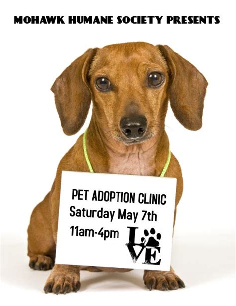 Why go to a dog breeder, cat breeder or pet store to buy a dog or buy a cat when you can adopt? Pet adoption event Flyer | Pet adoption event, Pet ...