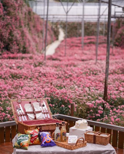 Cameron Flora Park Have A Dreamy Picnic At This Aesthetic Floral