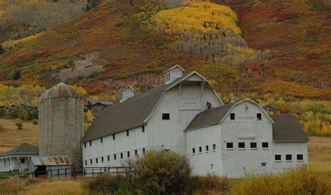 The facility that provides a large mat space, puncing bags and strength and conditioning. McPolin Farm | Park City, UT