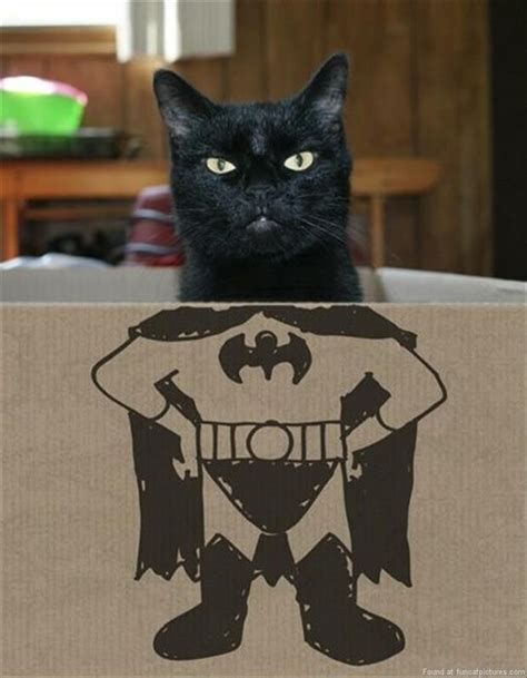 30 Cats That We Are Pretty Sure Are Really Batman Cutesypooh Cats