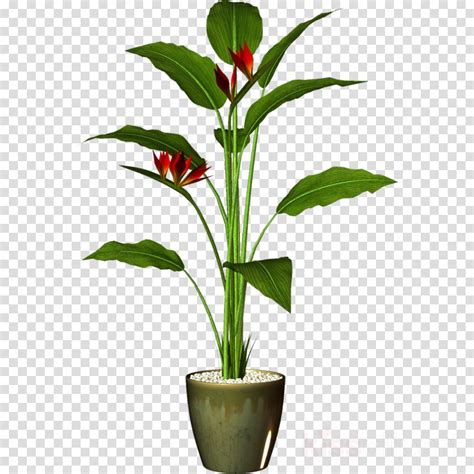 Flower Pot Top View Png