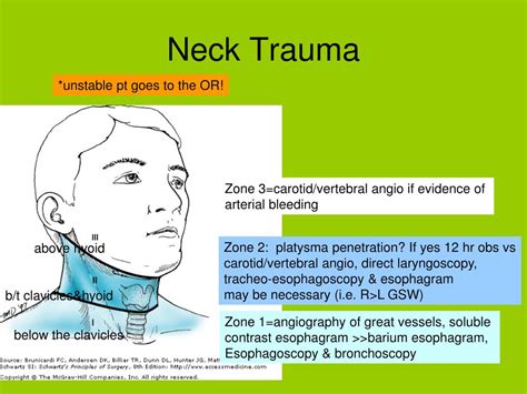 Ppt Chapter 6 Trauma Powerpoint Presentation Free Download Id1131474