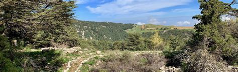 Tannourine Cedar Forest Nature Reserve Loop 32 Fotos Noord Libanon