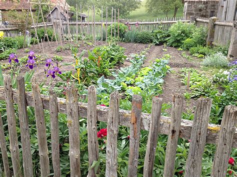 Suchen sie in stockfotos und lizenzfreien bildern zum thema garten von istock. Die besten Tipps für einen Selbstversorger-Garten - Native ...