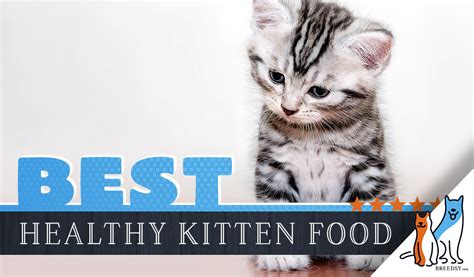Before choosing her food you should know. 11 Best Kitten Foods with our Most Affordable Pick: 2020 Guide