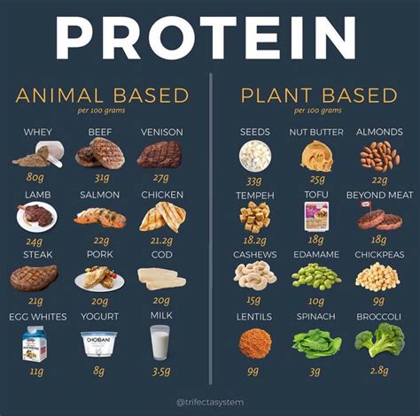 Plant Protein A Friend Of Human And Environmental Health