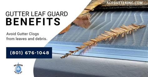Gutter Leaf Guards 8 Dos And Donts Of Gutter Protection Ace Gutters