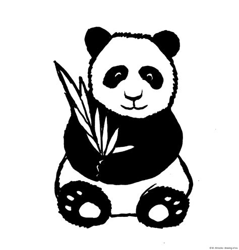 Drawing Of Panda Bear Line Art Illustrations