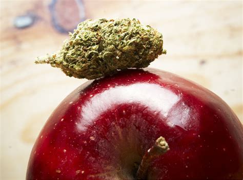 Sweet And Fruity Apple Flavored Weed Strains Leabuyer Leafbuyer
