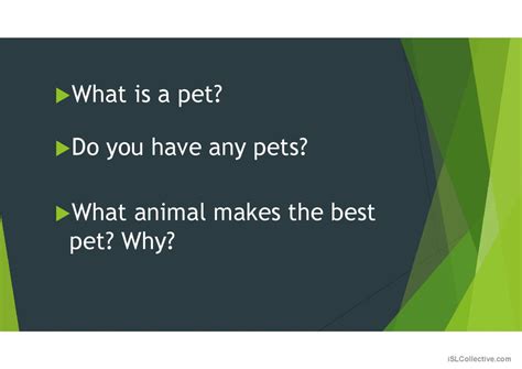 Animals Discussion Starters Speakin English Esl Powerpoints