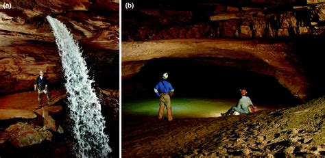 Geology Of Mammoth Cave Springerlink