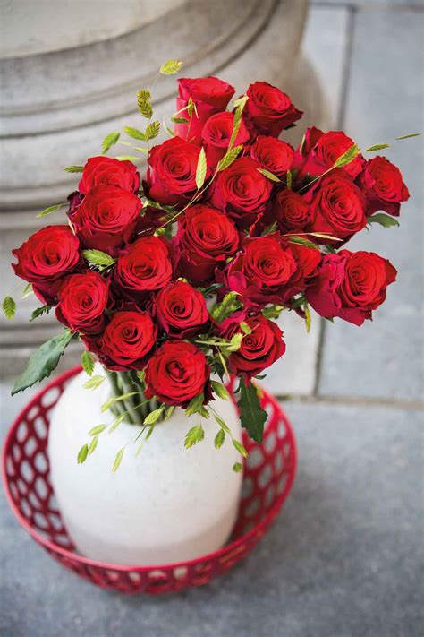 Use them in commercial designs under lifetime, perpetual & worldwide rights. 7 Best Red Roses Varieties for 2020 As Rated By Florists ...