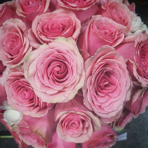 Pink Roses Bridal Bouquet Rose Bridal Bouquet Bridal Bouquet Pink Roses
