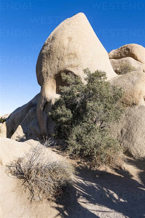 Skull Rock Formation Joshua Tree National Park California United