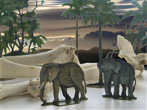 Sad Elephant Diorama In The Museum Of Unnatural History In Flickr