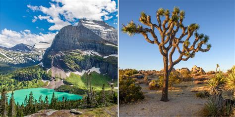 Maybe you would like to learn more about one of these? Getting Cabin Fever? You Can Take A Virtual Tour Of These ...