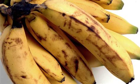 Britons Throw Away 14m Edible Bananas Each Day Figures Show Food