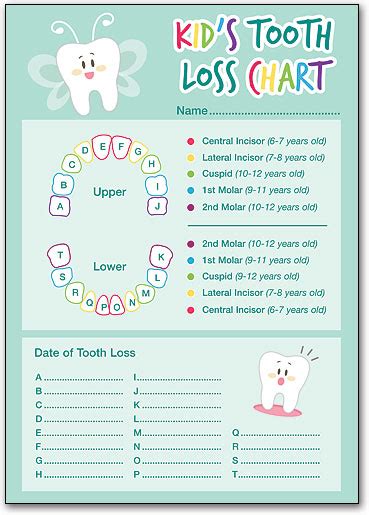 When Do You Lose Teeth Chart