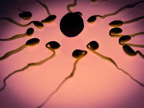 8 healthy facts about your sperm