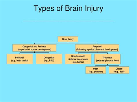 Ppt Introduction To Traumatic Brain Injury Tbi For Educators
