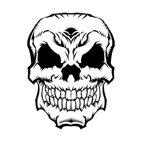 Skull Graphic 552969 Download Free Vectors Clipart Graphics And Vector Art
