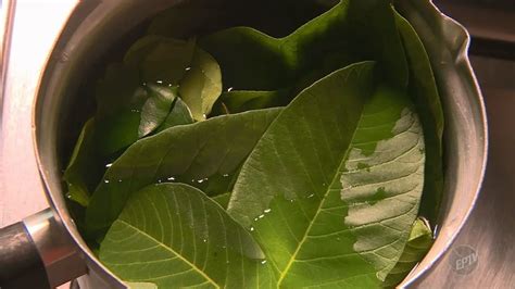Chá De Araçá Para Emagrecer