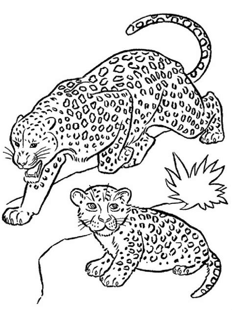 Leopard Coloring Pages Printable Pdf Animal