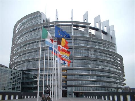 Pdmantovait Visita Al Parlamento Europeo Con Il Circolo Pd Mantova 3