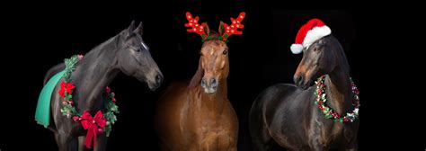 Hn Christmas Carols ‘the Horses Song Horse Nation