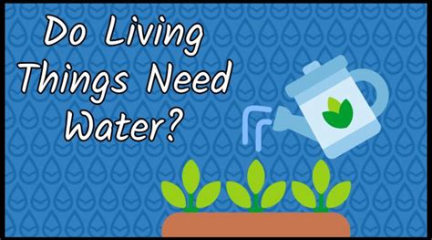H2o For Life Do Living Things Need Water