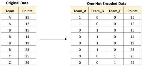 Label Encoding Vs One Hot Encoding Whats The Difference Online Statistics Library