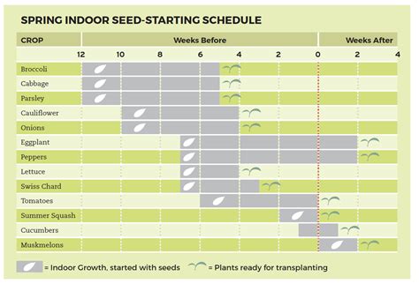Planting Chart Cheat Sheets Square Foot Gardening