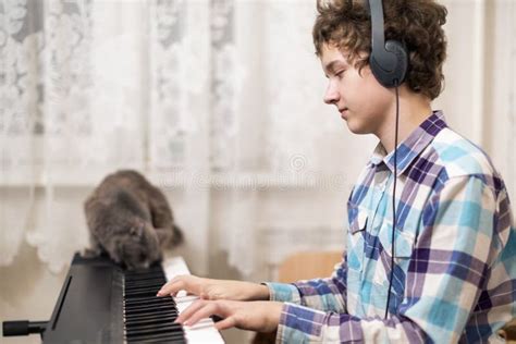 Boy Plays Piano Stock Image Image Of Musical Piano 53226399