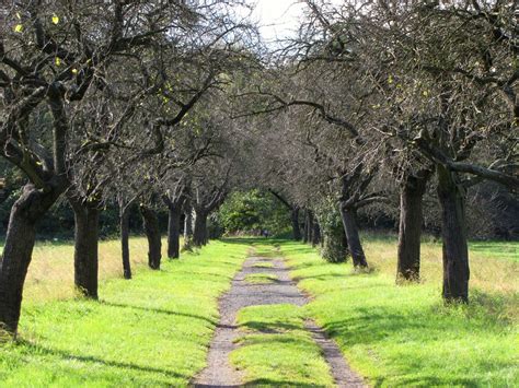 Where the city really blooms. Botanischer Volkspark Pankow in Berlin - Ausflüge mit ...