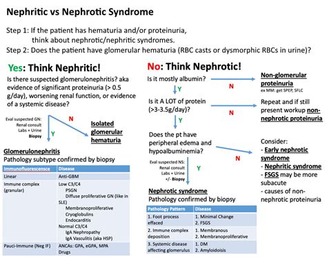 Nephrotic Syndrome Types