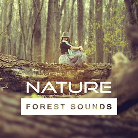 Nature Forest Sounds Calm New Age Sounds Forest