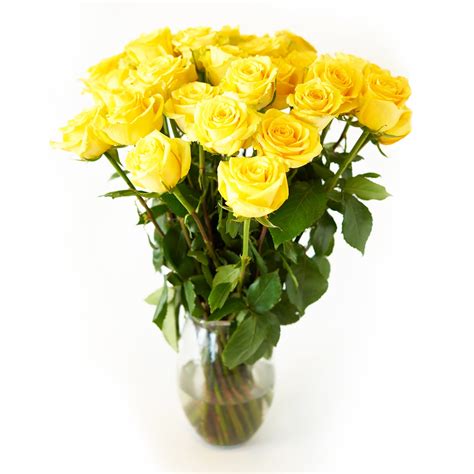 Yellow Roses Flower Bouquet 24 Yellow Roses Long Stem 2 Dozen Roses