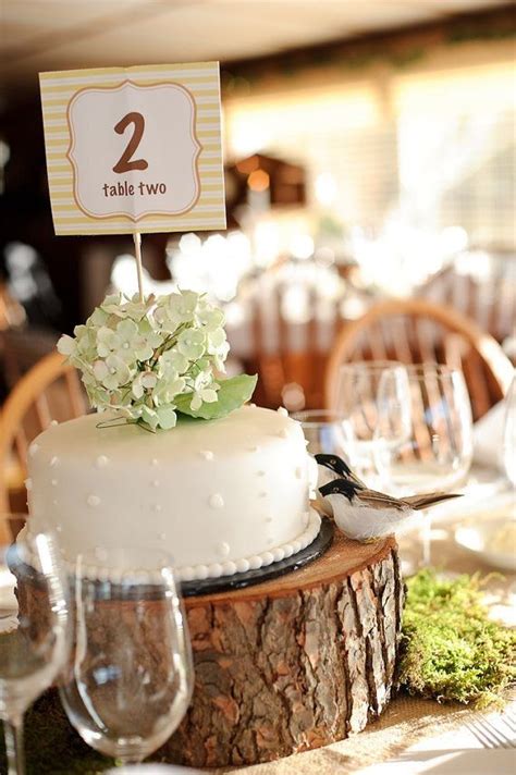 Here are a few ways i created cheap wood slice. From Nature: Wood Slabs for the Tabletop | Wood slab ...