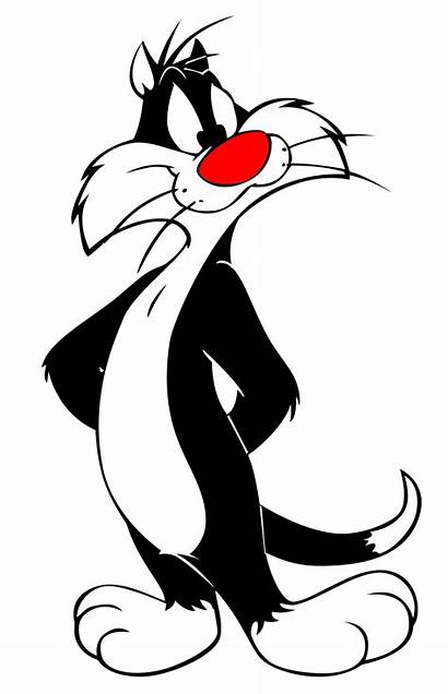 Cartoon Cat Sylvester Looney Characters Names Tunes