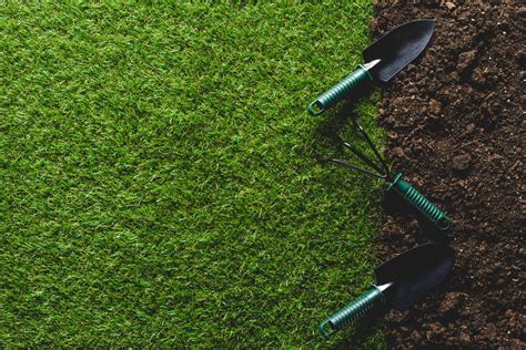 When Is The Best Time To Fertilize Your Lawn Innovative Landscape Design