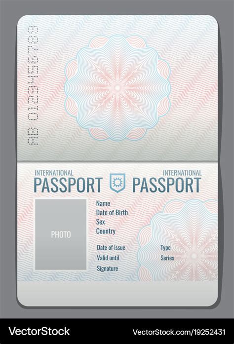 Blank Open Passport Template Isolated Royalty Free Vector