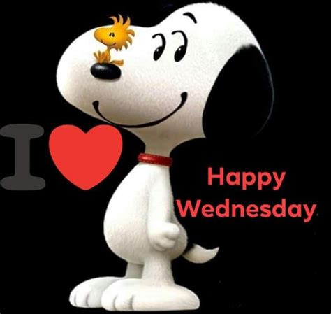 Happy Wednesday Good Morning Snoopy Goodnight Snoopy Good Morning