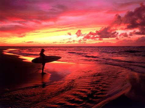 Surfing In Hawaii Surfing Sport Beach Surfboards Wave Skis Waves