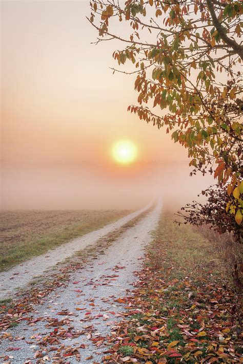 Sunrise In Autumn Photograph By Tobias Luxberg Fine Art America